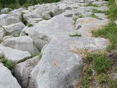 -原山国家森林公园