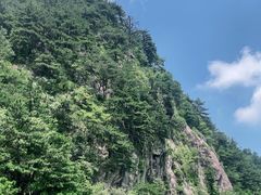-妙道山国家森林公园