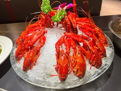 -京悦南门涮羊肉·羊蝎子火锅(田林路店)