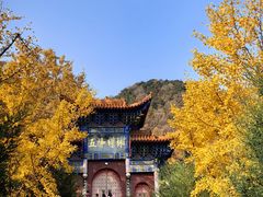 -遵化市禅林寺古银杏风景园