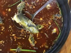 -金海椒罐罐鲢鱼(东方桂苑店)