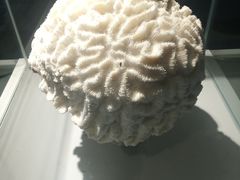 -泉城欧乐堡海洋极地世界