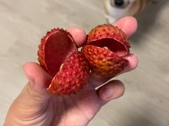 -广州粤海喜来登酒店