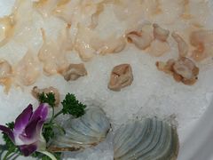 象拔蚌-捞围鲜·港式打边炉(海阳路店)