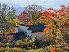 -塔川景区
