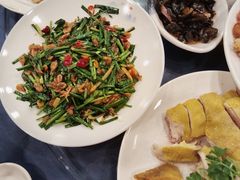 -金龙寨(龙城路店)
