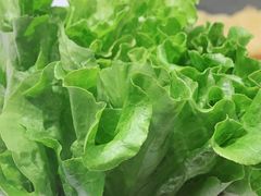 -古乐牛香·鲜牛肉牛杂火锅(吴江三里桥运东商业广场店)