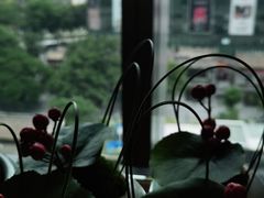 -广州康莱德·韵轩中餐厅