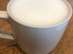 -Gloria Jean's Coffees