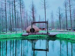 -黄海国家森林公园