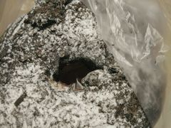 -85度C(苏州石路店)