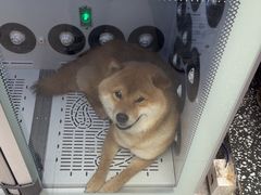 -FAELING PETS美天灵宠物(富力广场店)