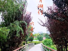 -月湖风景区