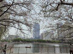 -西北湖绿化广场