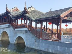 -上海海湾国家森林公园