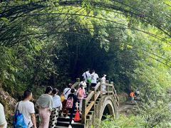 -阿依河景区