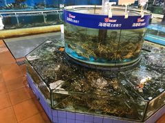 -御唐府海珊瑚主题餐厅