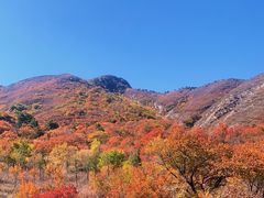 -建平天秀山森林公园