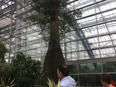 -南山植物园