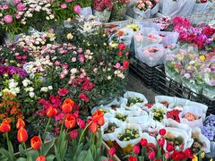 -溪岸路花鸟市场