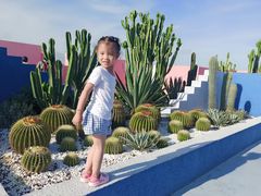 -漳州滨海火山岛自然生态风景区