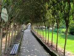 -武汉紫薇都市田园