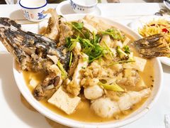 -煲来饱去冷水鱼