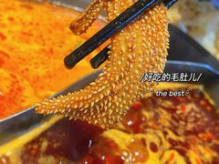 -大虎重庆老火锅(正弘城店)
