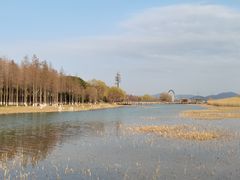 -苏州太湖湖滨国家湿地公园