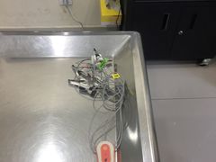 -申普宠物医院·心脏介入·心血管微创(总院)