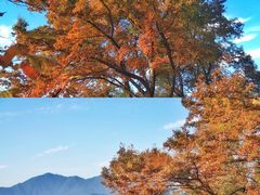 -广州市石门国家森林公园