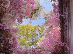 -深圳国际园林花卉博览园