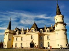 -北京张裕爱斐堡酒庄