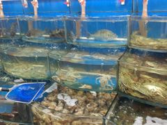 -渔中舟海鲜大排档(普陀沈家门店)