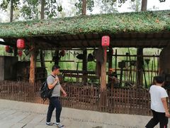 -合肥滨湖国家森林公园