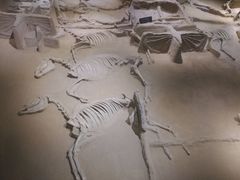 -洛阳周王城天子驾六博物馆