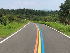 -天目湖松岭竹海漂流