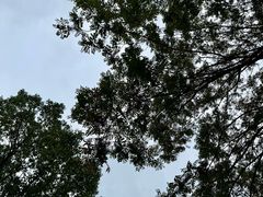 -白塘生态植物园