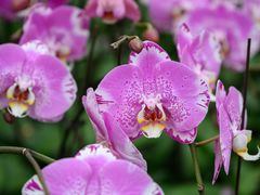 -华蓥山天意谷景区