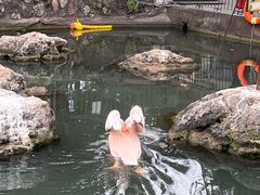 -昆明动物园