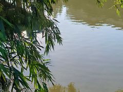 -低涌(地铁站)