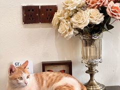 -初甜·舒芙蕾·韩式雪花冰(流塘店)