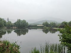 -石塘人家