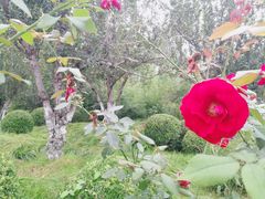 -元大都城垣遗址公园