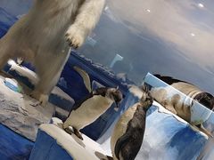 -国家自然博物馆