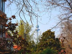 -八大关景区