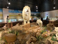 -陕西自然博物馆