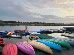 -春花秋色城市公园