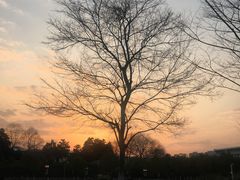 -南京航空航天大学(将军路校区)