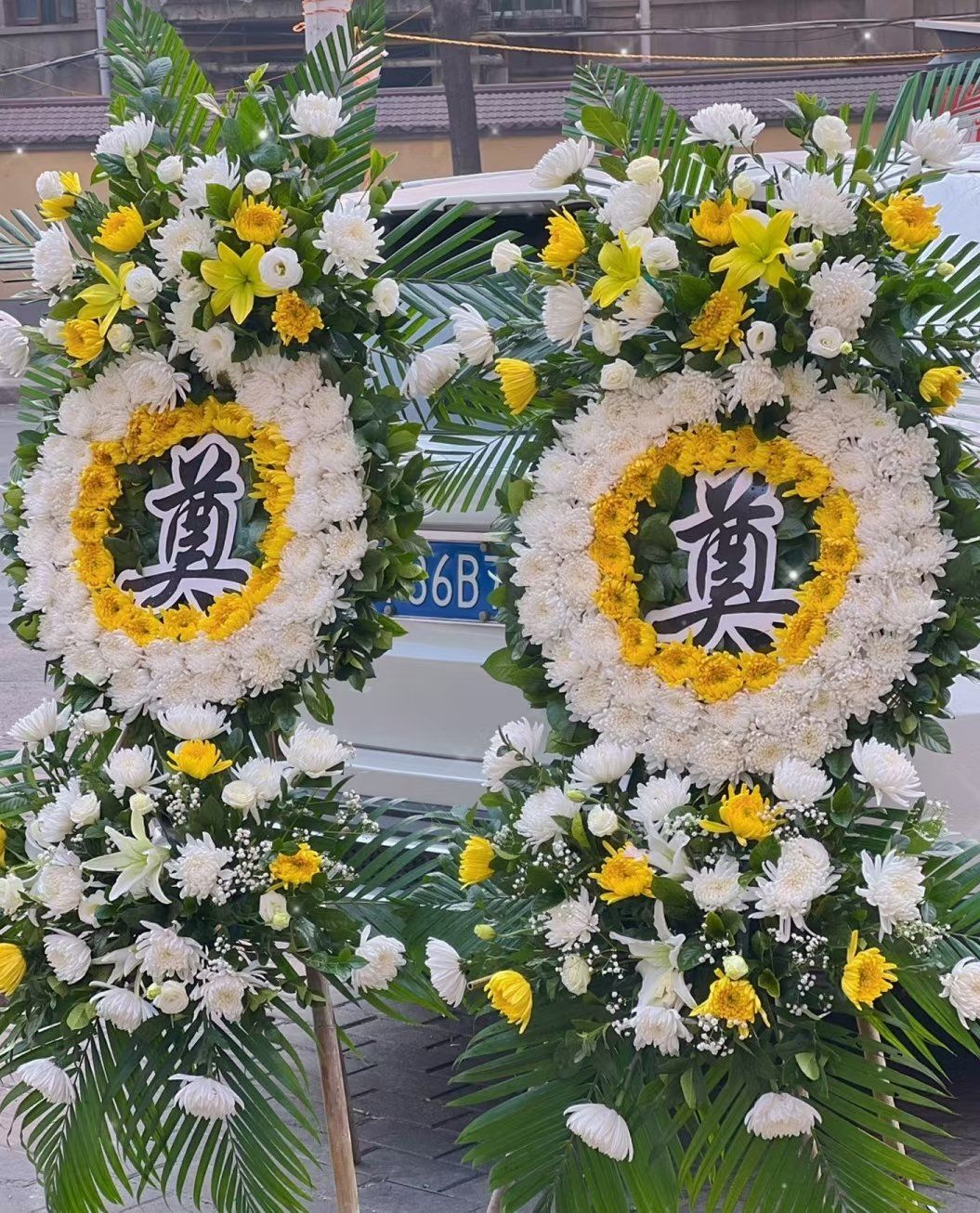愿另一个世界 也如人间 繁花似锦